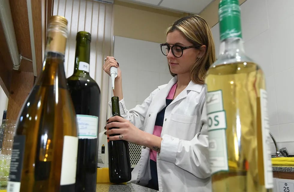 En Mendoza miden con un scanner el poder antioxidante del vino a través de la botella