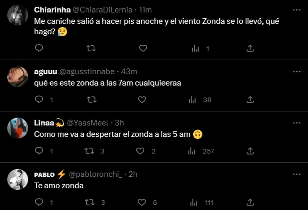 La reacción de los tuiteros sobre la llegada del Zonda. Foto: Twitter