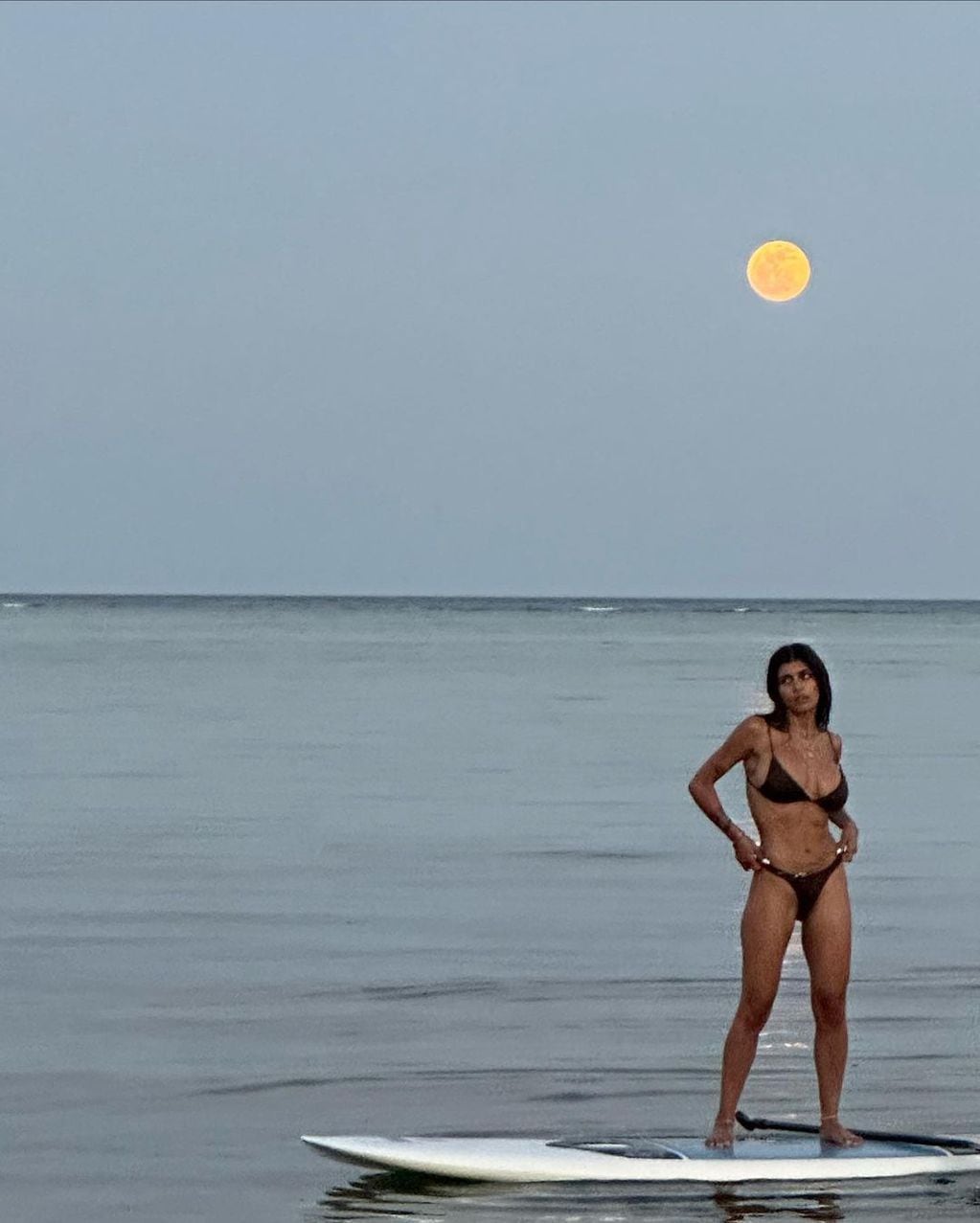 La ex actriz triple x posó en la playa.