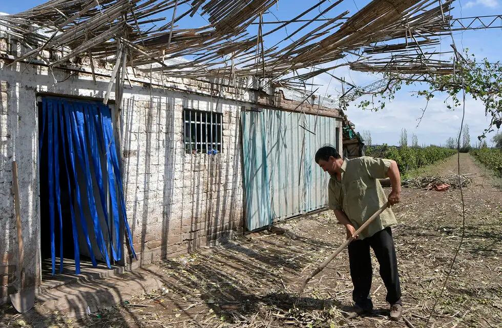 Ceferino Torres perdió sus cuatro hectáreas de uva criolla en Junín. Su casa también sufrió daños. | Foto: Orlando Pelichotti / Los Andes