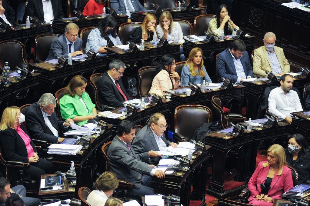 Debate en Diputados sobre el acuerdo con el FMI Congreso Argentina  Foto Federico Lopez Claro