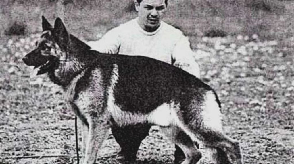 "Chonino", el ovejero alemán por el que en Argentina se celebra el Día Nacional del Perro cada 2 de junio.