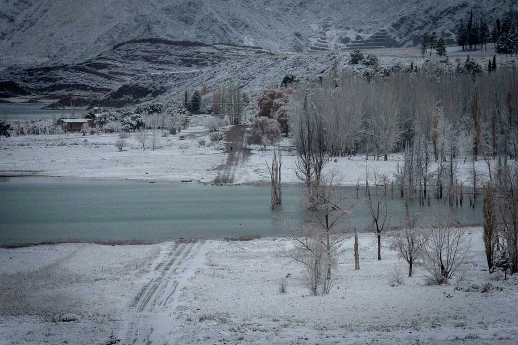 La nieve vistió de blanco el paisaje mendocino. Ignacio Blanco