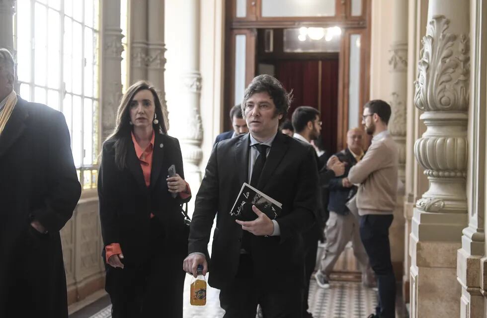 Javier Milei en la Cámara de Diputados junto a su compañera de La Libertad Avanza Victoria Villarruel (Foto: Federico López Claro)