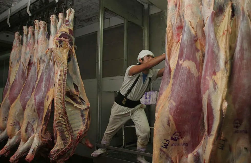 El gobierno nacional suspendió la exportación de carne por 30 días. Archivo Los Andes