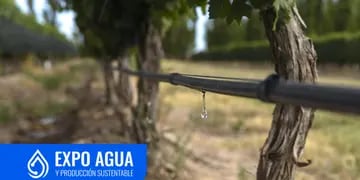 Expo Agua 2024 Irrigación