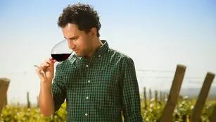 Juan Pablo Murgia: “un viñedo manejado en forma natural desarrolla mejor el carácter del lugar”