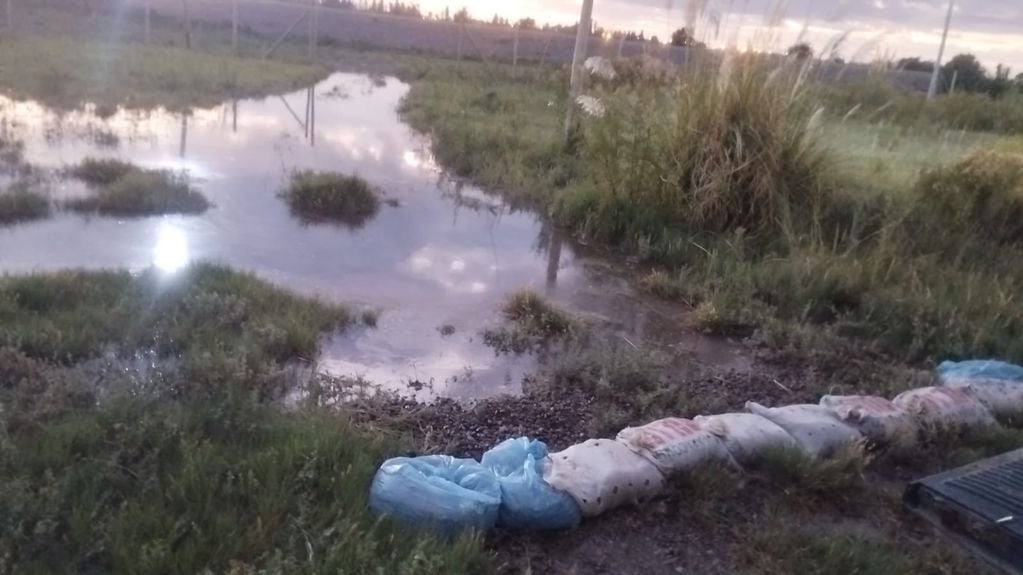 Preocupación: El regreso de agua a puntos que estaban secos en el Río Mendoza inundó casas familiares en Maipú. Foto: Gentileza vecinos barrio Rincón de los Álamos
