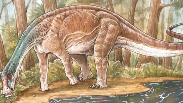 Hallaron en Neuquén los restos de una nueva especie de dinosaurio titanosaurio que vivió hace 86 millones de años