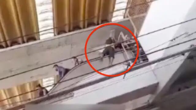 Video: tragedia en un shopping  de Brasil, muere un jubilado tras caer de la cima de las escaleras mecánicas