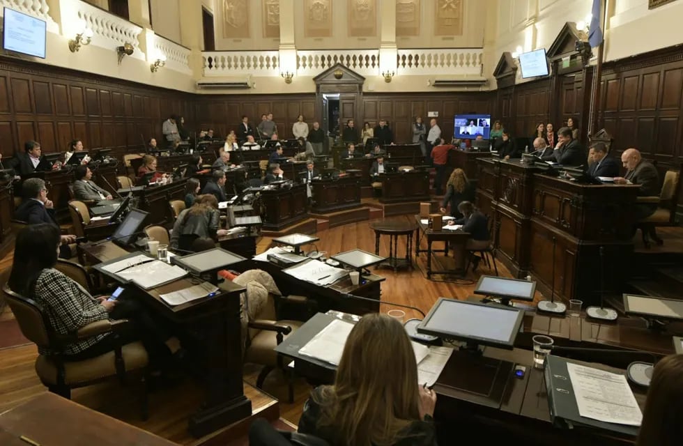 La Cámara de Senadores le dio sanción definitiva al proyecto El Baqueano. Foto: Orlando Pelichotti