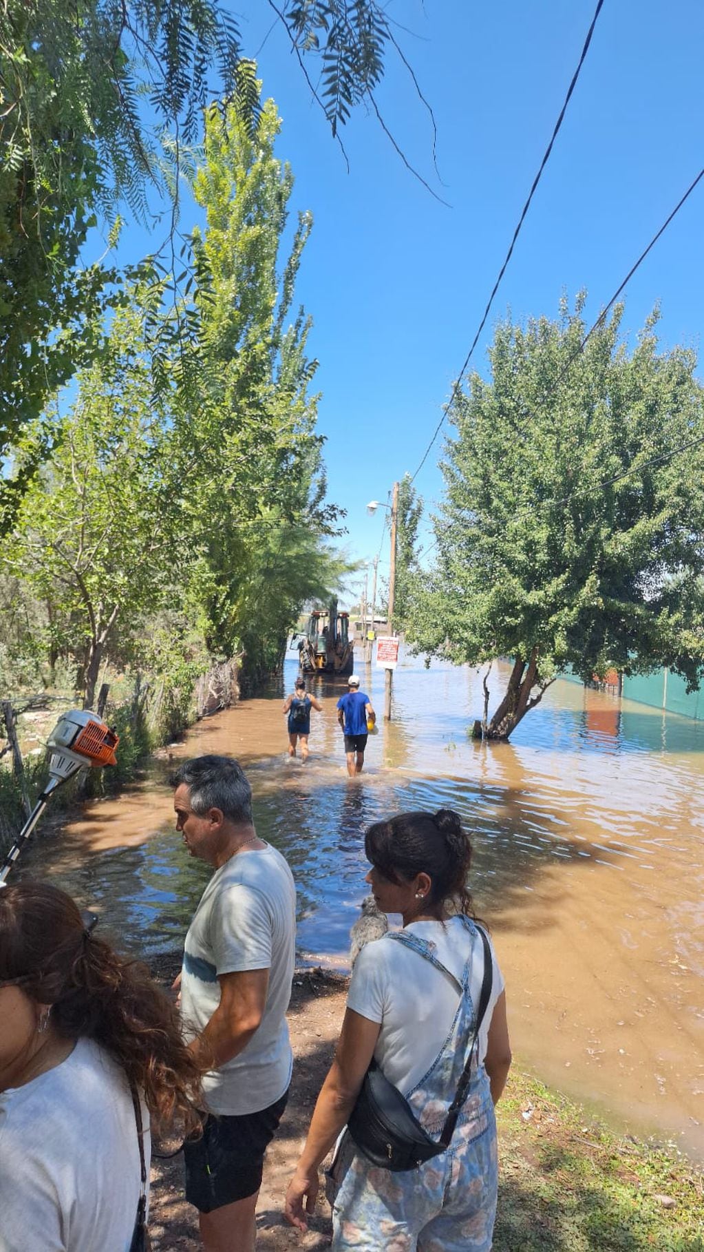 Desoladoras imágenes: una nueva crecida del Río Mendoza que obligó a vecinos de Maipú a evacuar sus casas. Foto: gentileza vecinos Rincón de los Álamos