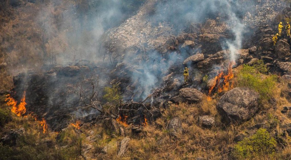 Los incendios en algunos sectores de la Patagonia dejaron pérdidas totales. Foto: DPA