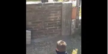 Un perro y un nene juegan a través de los ladrillos.