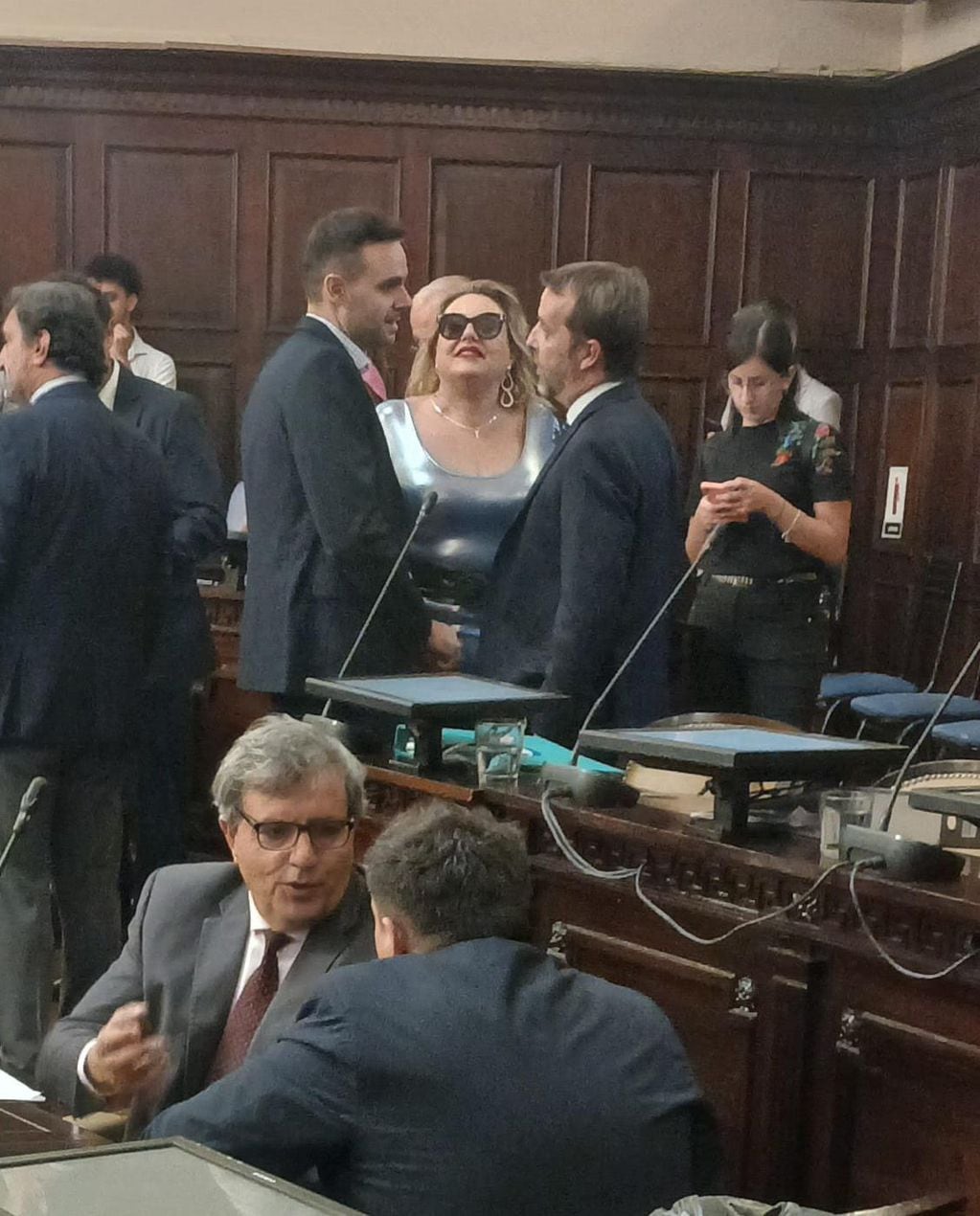 Flavia Manoni en la última sesión del Senado. Gentileza