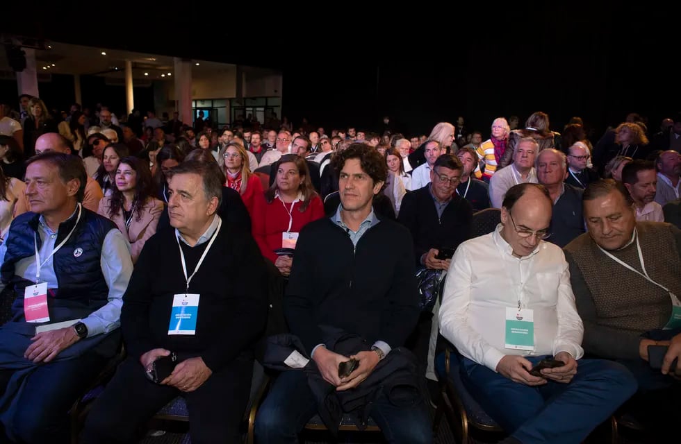 Rodolfo Suarez, Mario Negri, Martín Lousteau en la Convención de la UCR - Foto Clarín