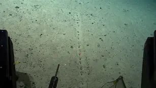 descubrieron unos misteriosos agujeros en el fondo del mar