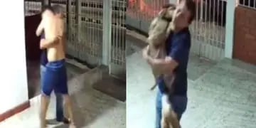 perrito perdido vuelve a su casa en Colombia