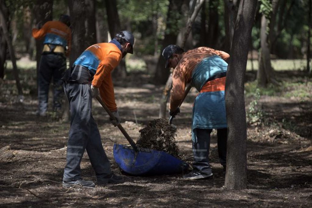 La secretaría de Ambiente relanzó el Plan de Forestación del Parque General San Martín