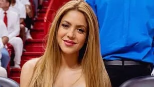 Shakira transformó en vestido una de sus famosas canciones y su look generó controversia