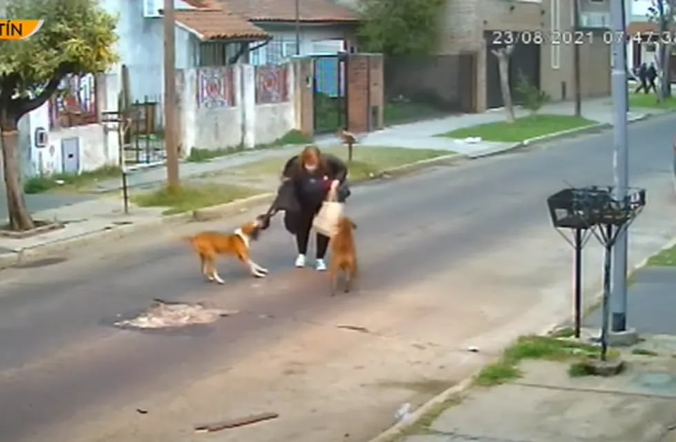La mujer de 59 años fue atacada brutalmente por tres perros cuando regresaba a su casa del trabajo. Foto: Captura de video