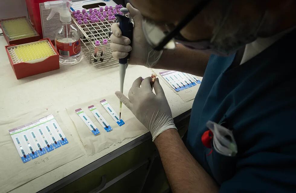 Salud & laboratorios, entre los rubros que tendrán una demanda laboral destacada de profesionales en el año que se inicia. Foto: Ignacio Blanco.
