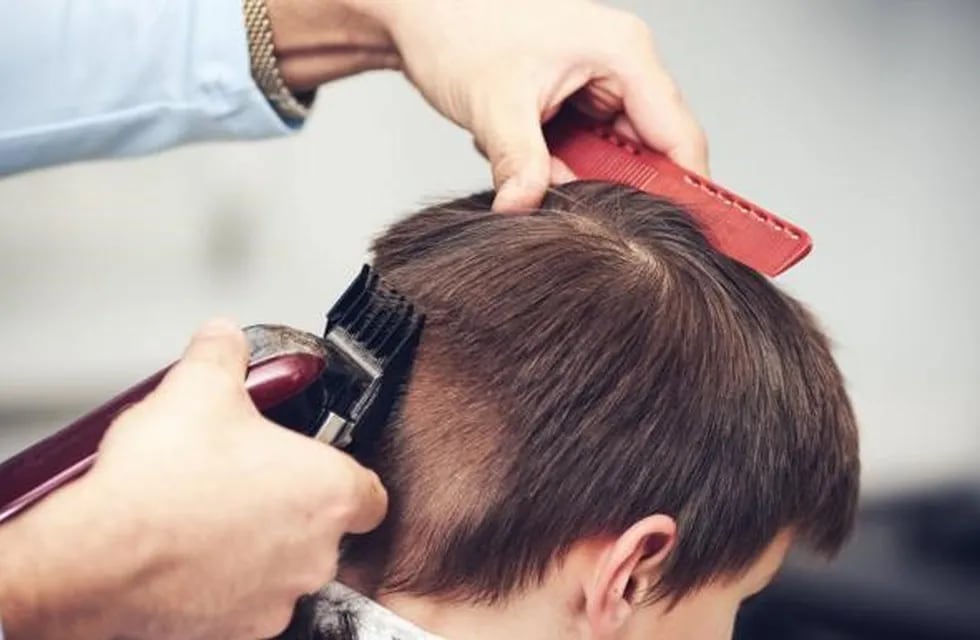 Brote de tiña en España: se registró un centenar de casos entre adolescentes que se rasuran la nuca en peluquerías.
