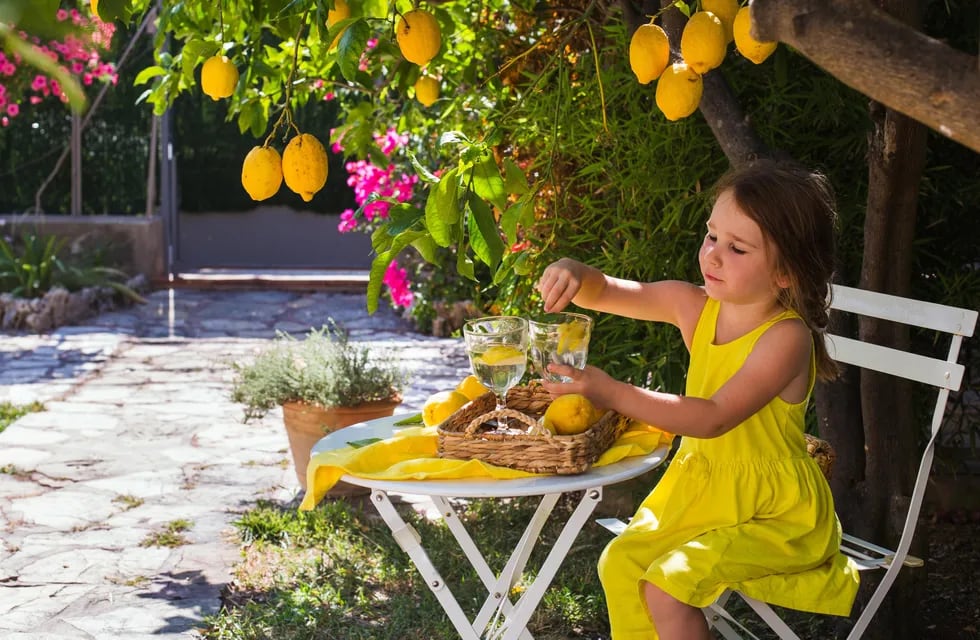 El fin de la primavera nos regala el delicioso aroma de los limones y hace más encantador nuestro refugio verde.