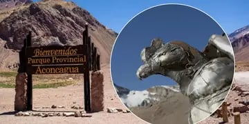 Una gran escultura del Cóndor Andino embellece desde hoy nuestro  Parque Provincial Aconcagua