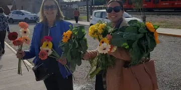 Feria de Flores Maipú