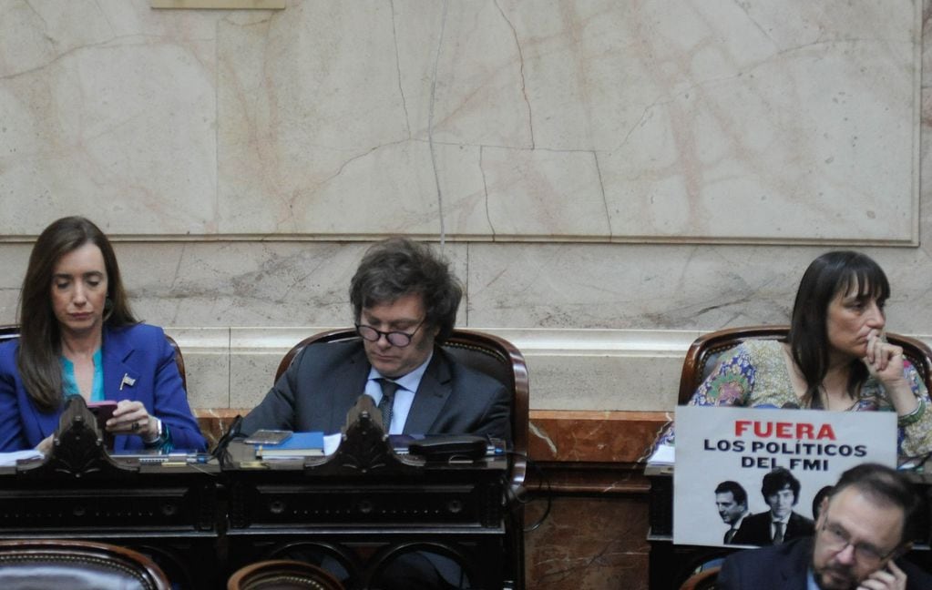 Milei votó en contra de un artículo para prohibir que el Banco Central financie al Tesoro (Foto: Federico López Claro)