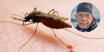Alerta en Buenos Aires tras la muerte de un turista estadounidense por Malaria