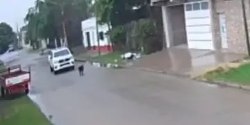 Sobreseyeron a tres policías que atropellaron y mataron a un perro en Corrientes: el insólito argumento del fallo