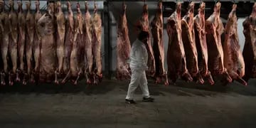 Prohibición de exportar carne por 30 días 