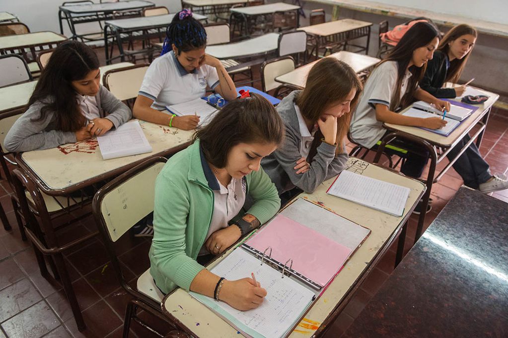 
En Mendoza, 3 de cada 10 alumnos secundarios no promocionaron pero mejoró la retención
Foto: Ignacio Blanco / Los Andes