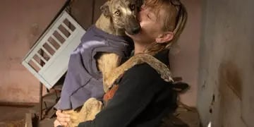 “Rousie” busca desesperada un nuevo refugio para sus 75 perros rescatados