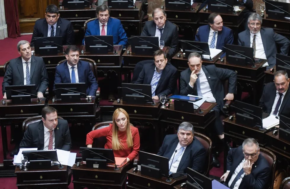 El oficialismo en el Senado, donde está la mendocina Anabel Fernández Sagasti, defendieron la ampliación de la Corte y votaron a favor. Foto: Federico Lopez Claro
