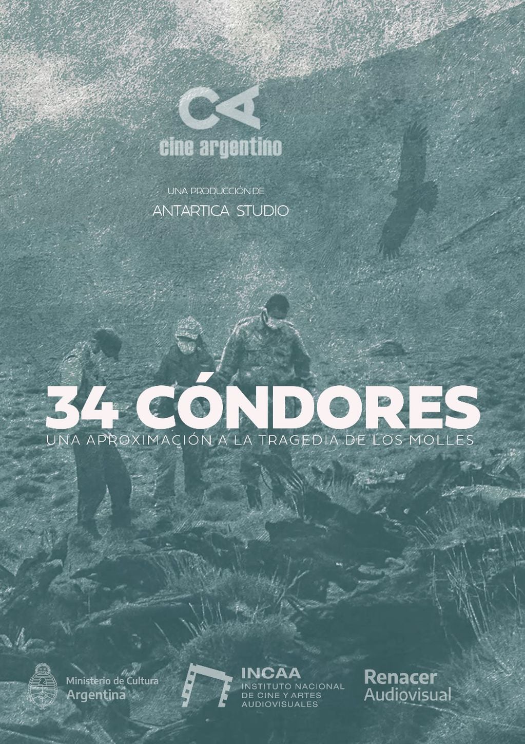 34 cóndores, el documental. Foto: Gentileza Gonzalo Iaconis.