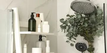 Cómo usar eucalipto en el baño.