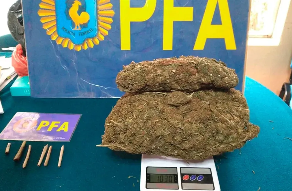 La Policía Federal arribó al lugar de los hechos e incautó un kilo de marihuana oculta en un envoltorio. Foto: Web / Los Andes