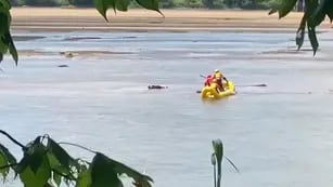 Creían que estaba muerto, pero solo dormía una siesta en el río y el video se volvió viral en la red