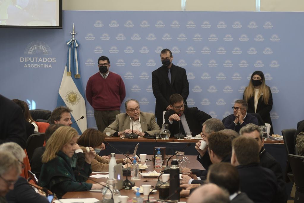 La oposición firmó dictamen en las comisiones de Asuntos Constitucionales, Justicia y Presupuesto (Foto: Federico López Claro)