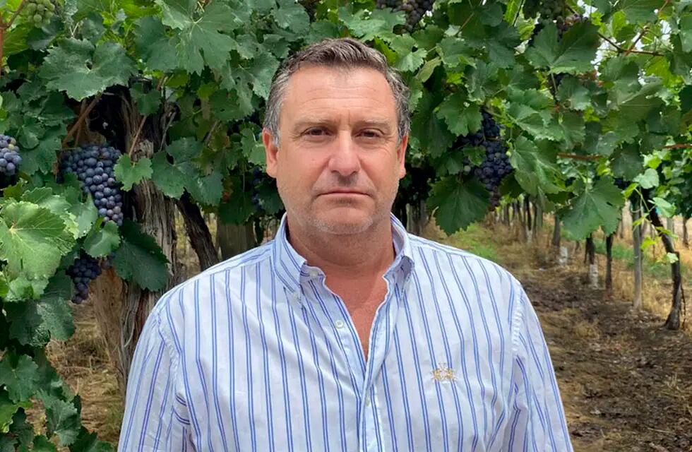 Ernesto Villasante es gerente y técnico de Agrícola Villasante, que produce y exporta uvas para consumo en fresco.