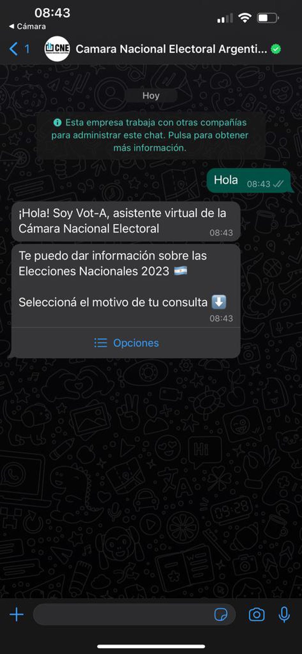 Primer paso con el chatbot Vot-A. Foto: Los Andes