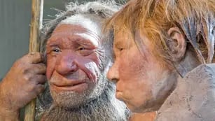 Tener una idea firme sobre cuándo desaparecieron estos antepasados más cercanos del Homo Sapiens es considerado un primer paso esencial para entender su naturaleza y capacidades. (AP)