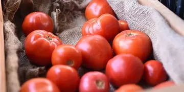 Tres opciones para aprovechar el tomate de temporada. / Archivo