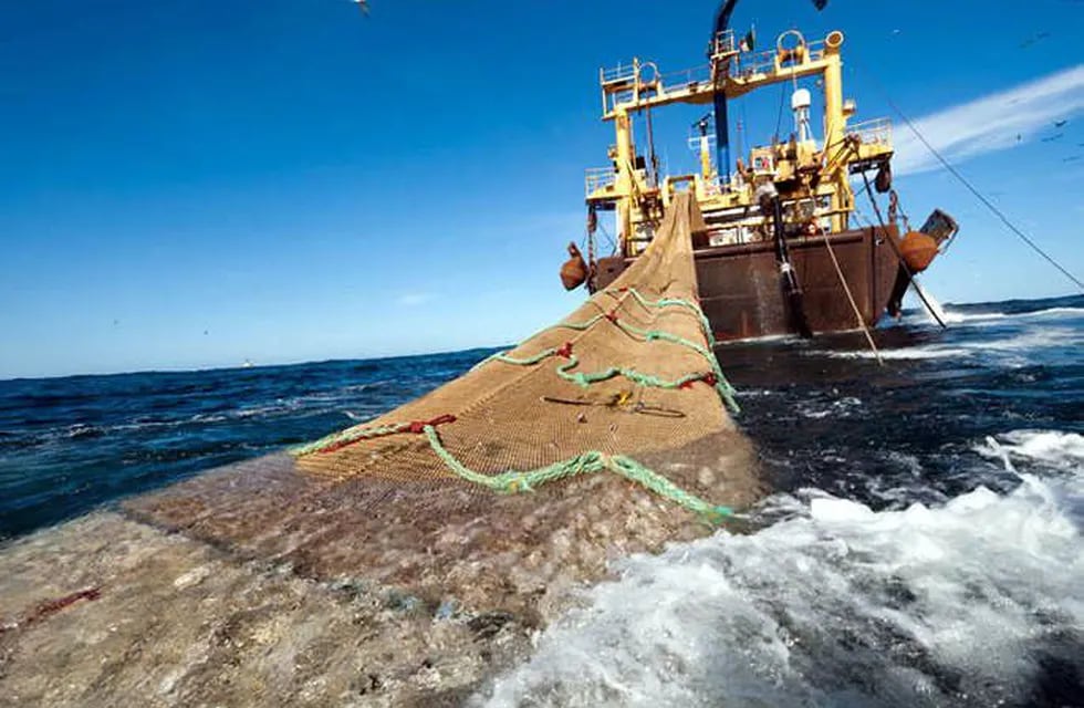 La pesca de langostinos y otros productos en el Atlántico Sur de buques extranjeros y nacionales, no siempre ajustada a derecho la primera de ellas, deriva en voluminosos descartes de pescados sin interés comercial.