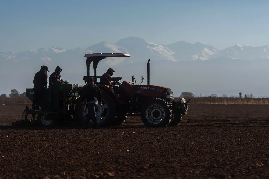 Operarios plantando papas en la chacra de la empresa Jose Calafiore. Foto: Ignacio Blanco/Los Andes (Ilustrativa)