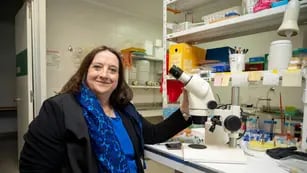 María Isabel Colombo, Premios Konex 2023 - Diploma al mérito en Ciencias Biomédicas Básicas.