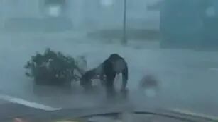 El impresionante momento en el que un meteorólogo es arrastrado por los vientos del huracán Ian